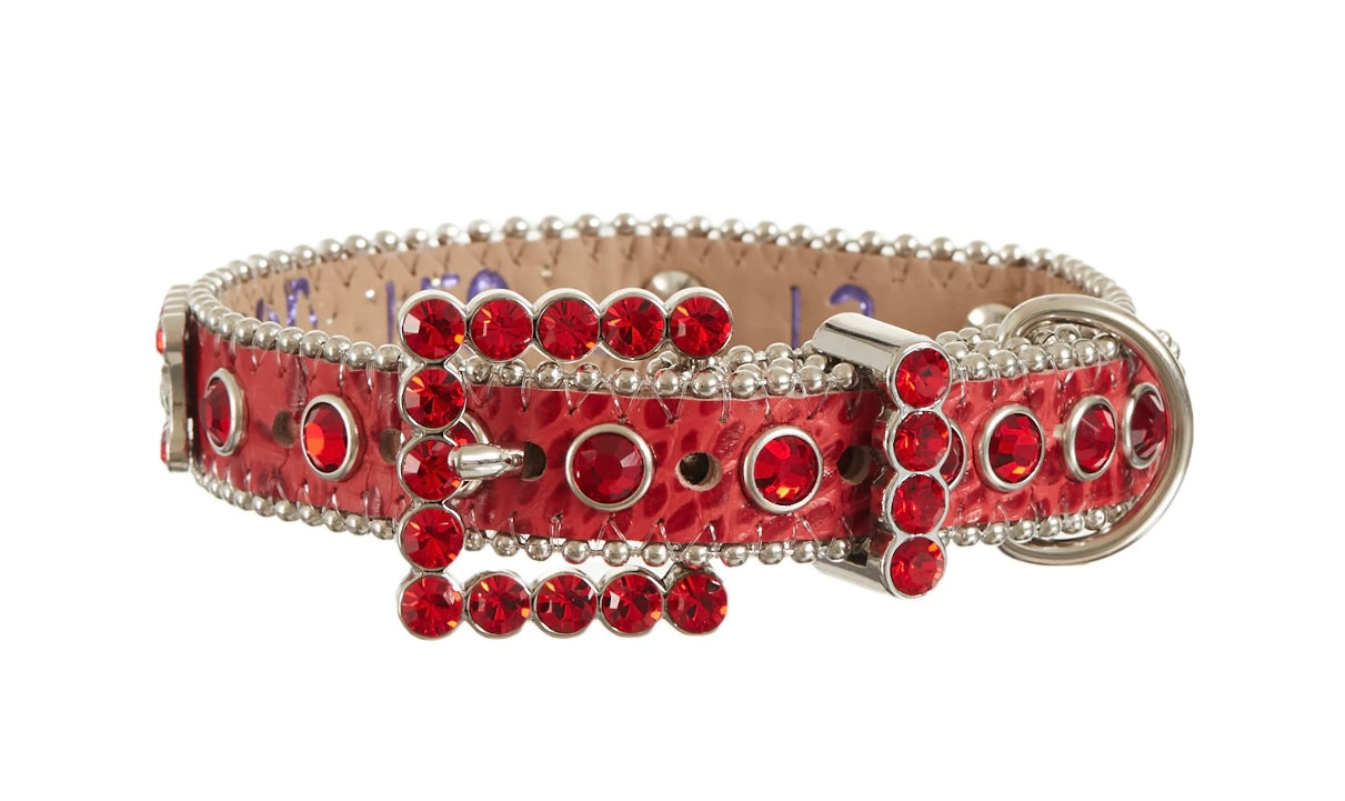 Supreme B.B Simon Studded Dog Collar “Red”